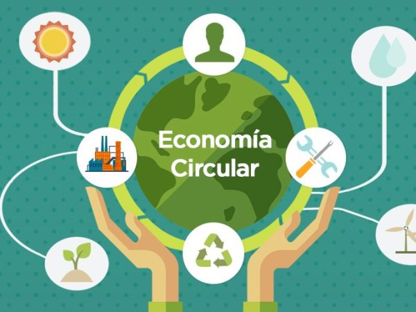 Economía Circular como solución al problema medio&nbsp;ambiental.